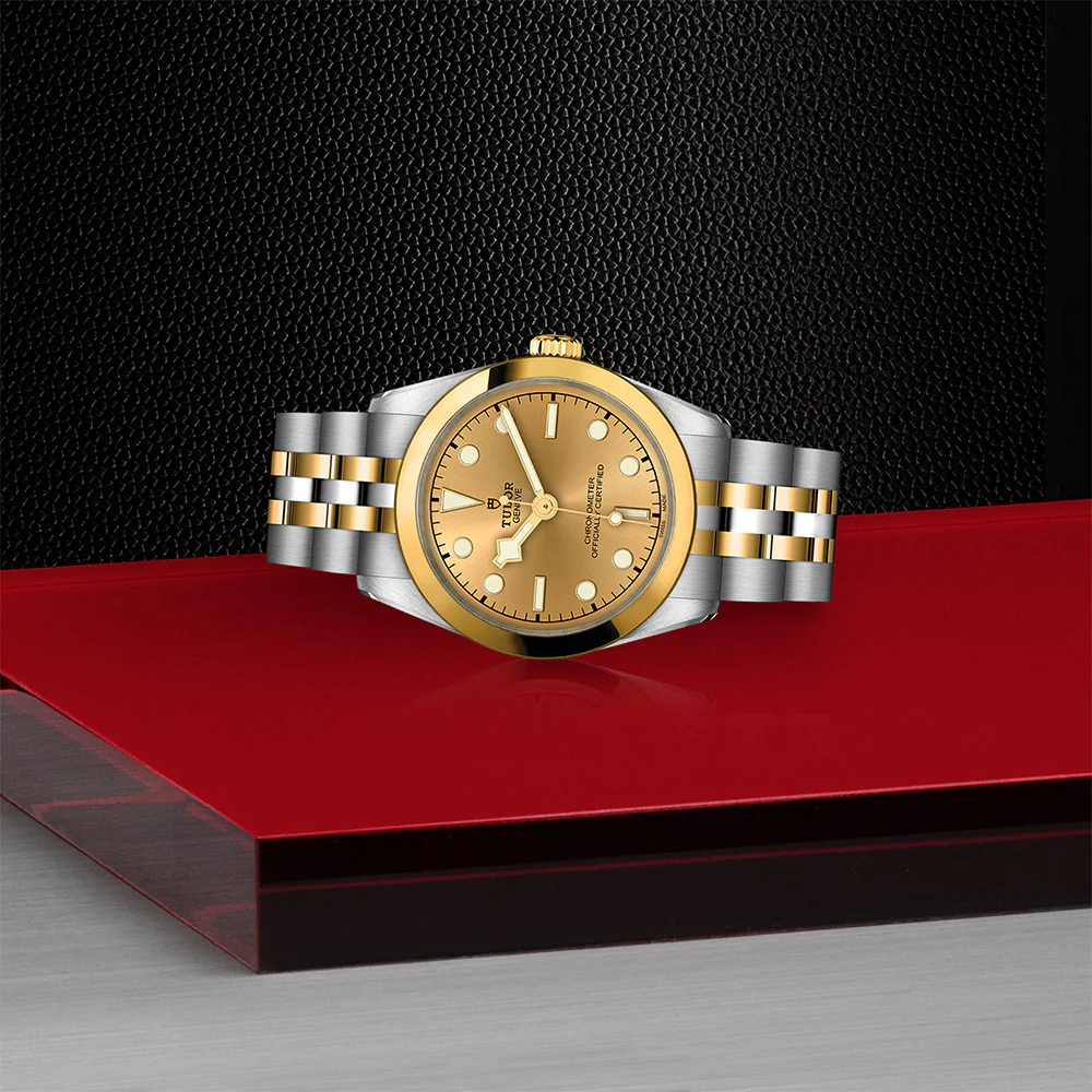 TUDOR Black Bay 31 S&G Champagne Dial - Image 2