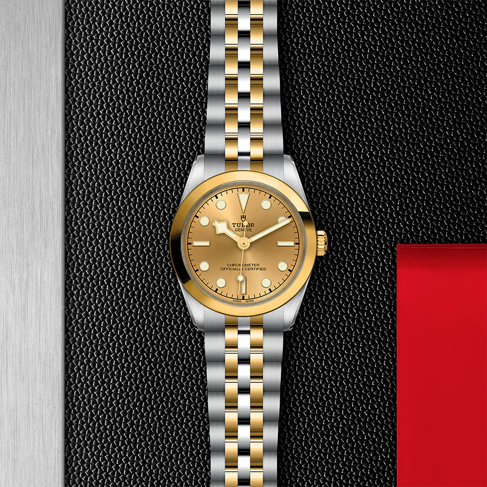 TUDOR Black Bay 31 S&G Champagne Dial - Image 3