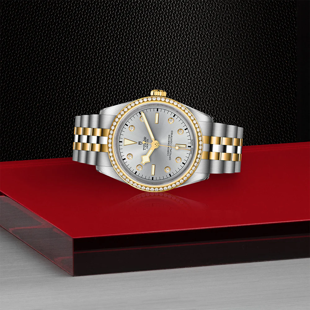TUDOR Black Bay 36 S&G Silver Dial Diamond Bezel - Image 2
