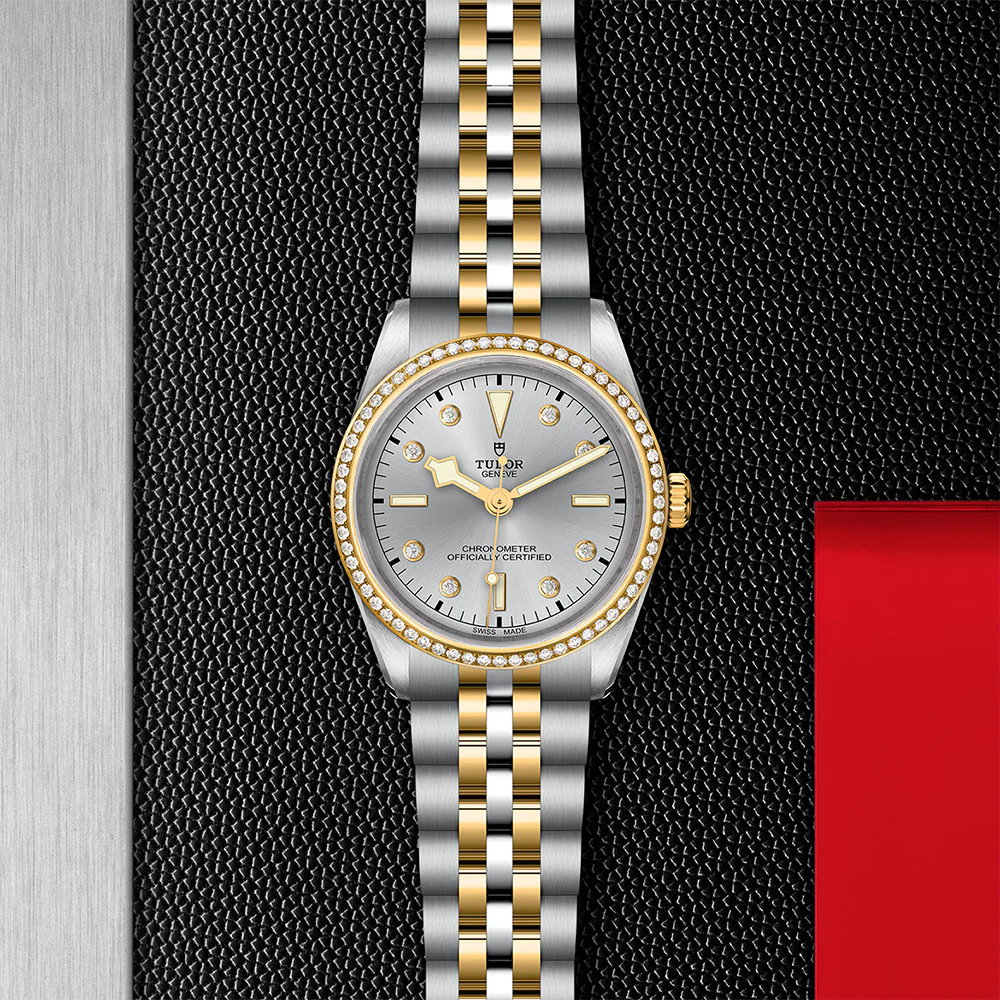 TUDOR Black Bay 36 S&G Silver Dial Diamond Bezel - Image 3