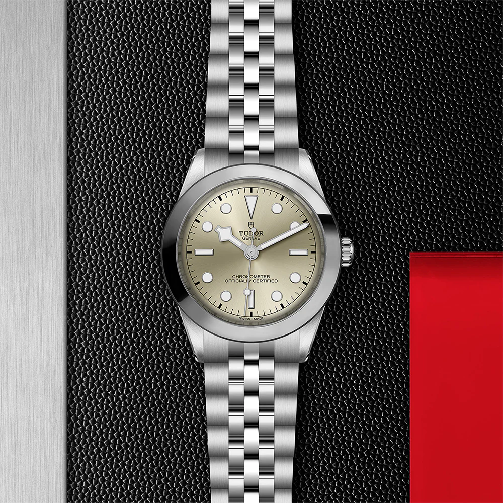 TUDOR Black Bay 39 Light Champagne Dial - Image 3