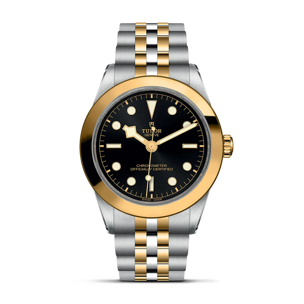 TUDOR Black Bay 39 S&G Black Dial