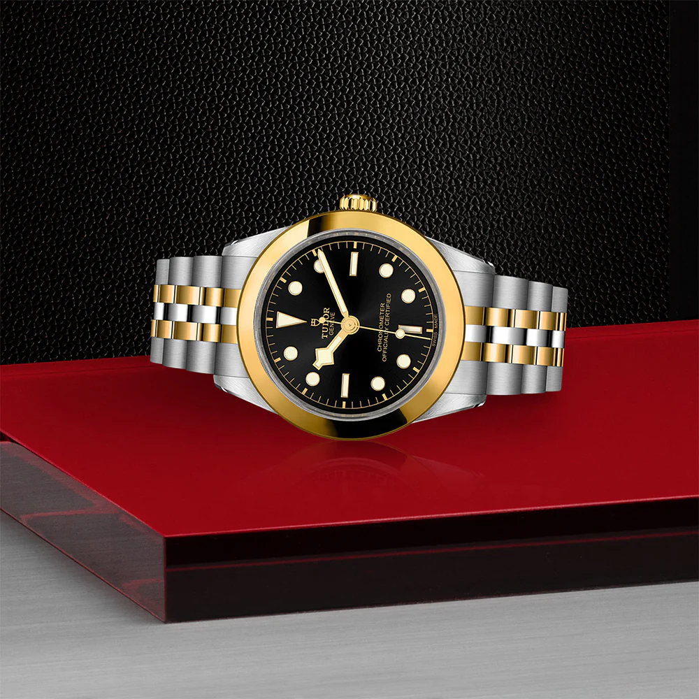 TUDOR Black Bay 39 S&G Black Dial - Image 2