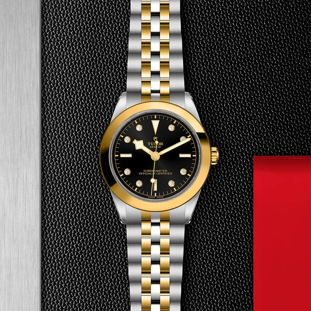 TUDOR Black Bay 39 S&G Black Diamond Dial - Image 3
