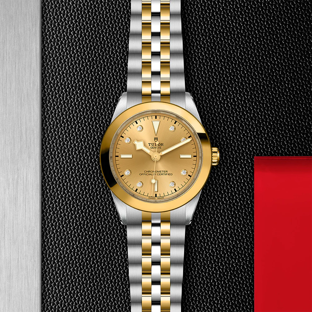 TUDOR Black Bay 39 S&G Champagne Diamond Dial - Image 3