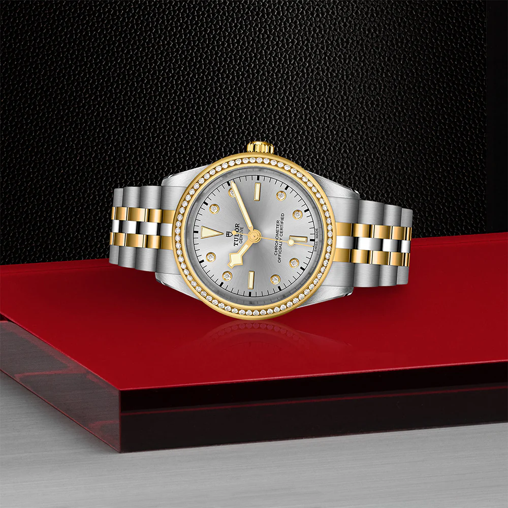 TUDOR Black Bay 39 S&G Silver Dial Diamonds - Image 2