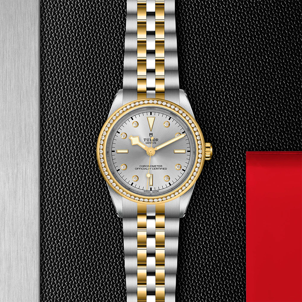 TUDOR Black Bay 39 S&G Silver Dial Diamonds - Image 3