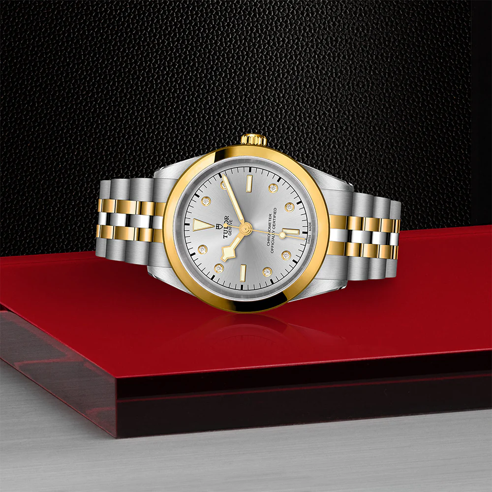TUDOR Black Bay 41 S&G Silver Diamond Dial - Image 2