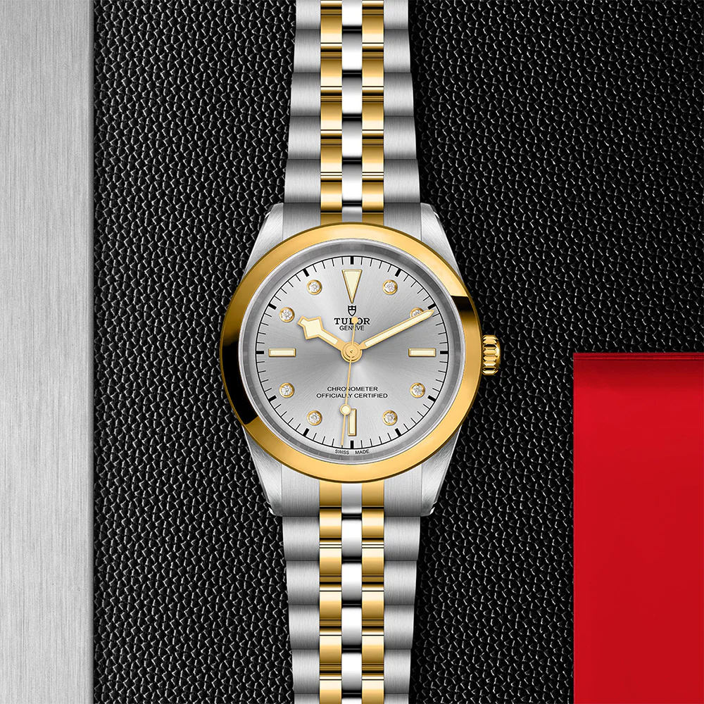TUDOR Black Bay 41 S&G Silver Diamond Dial - Image 3