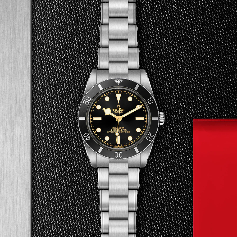TUDOR Black Bay 54 Stainless Steel - Image 2