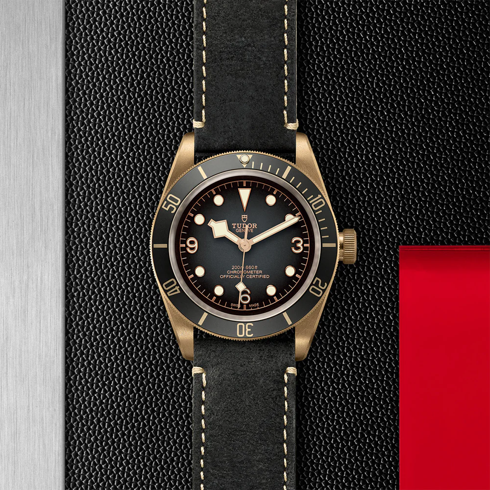 TUDOR Black Bay Bronze Leather Strap - Image 2