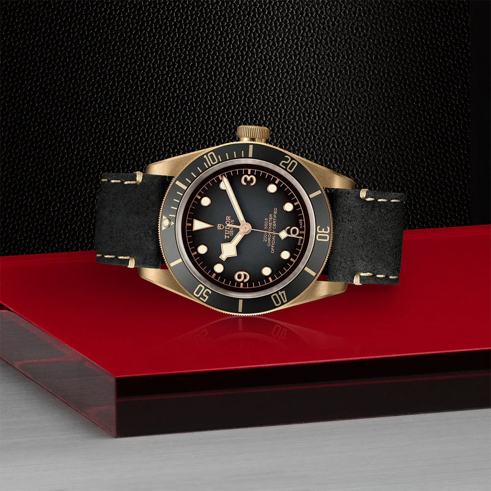 TUDOR Black Bay Bronze Leather Strap - Image 3