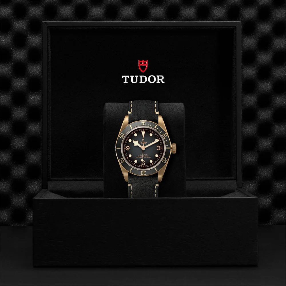 TUDOR Black Bay Bronze Leather Strap - Image 4