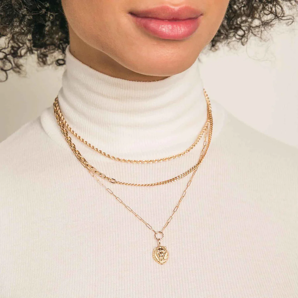 Zoe Chicco Small Paperclip Chain Lion Head Pendant Necklace - Image 2